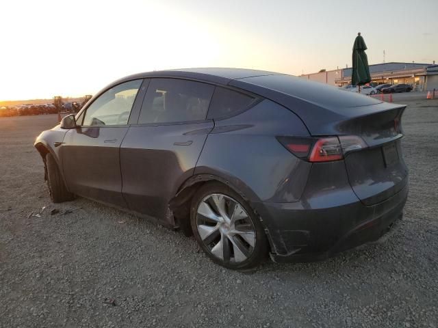 2020 Tesla Model Y