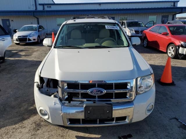 2011 Ford Escape Limited