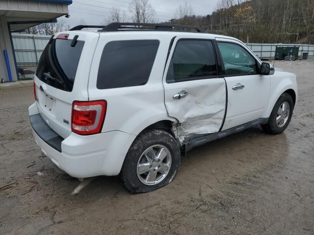 2011 Ford Escape XLT