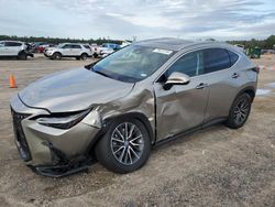 Lexus nx 350h ba salvage cars for sale: 2025 Lexus NX 350H Base