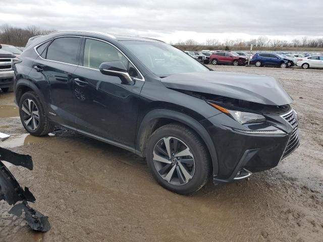 2019 Lexus NX 300H