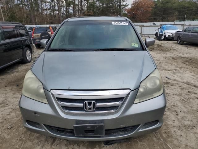 2005 Honda Odyssey EXL