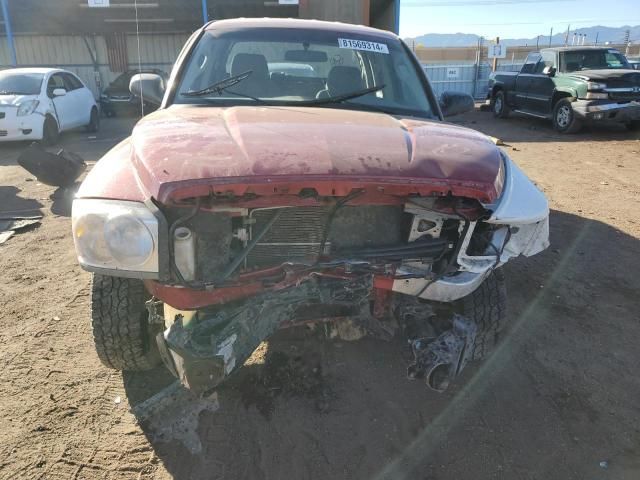 2006 Dodge Dakota Quattro