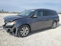 Honda Odyssey salvage cars for sale: 2016 Honda Odyssey SE