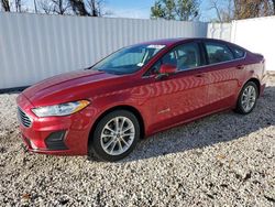 Ford Fusion salvage cars for sale: 2019 Ford Fusion SE