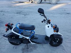 Honda Ruckus salvage cars for sale: 2023 Honda NPS50