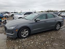 Hyundai Sonata salvage cars for sale: 2020 Hyundai Sonata SE