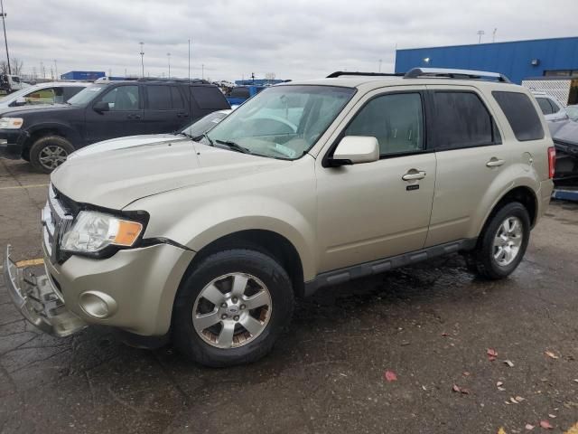 2010 Ford Escape Limited