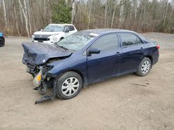 Toyota Corolla salvage cars for sale: 2012 Toyota Corolla Base