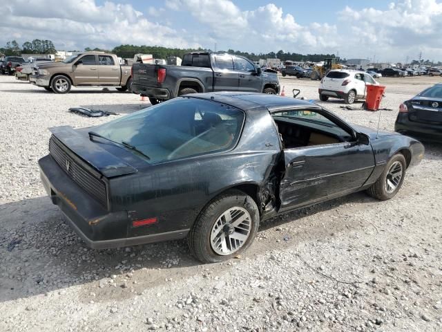 1982 Pontiac Firebird SE