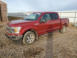 Ford f-150 salvage cars for sale: 2020 Ford F150 Supercrew