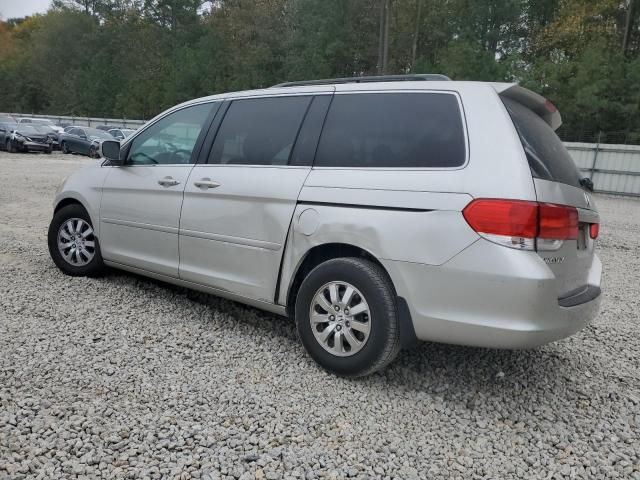 2008 Honda Odyssey EXL