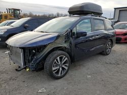 Honda Odyssey Touring salvage cars for sale: 2023 Honda Odyssey Touring