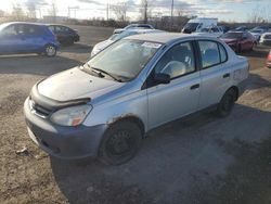 Toyota salvage cars for sale: 2004 Toyota Echo