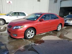 Toyota Camry salvage cars for sale: 2011 Toyota Camry Base