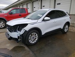 Ford salvage cars for sale: 2020 Ford Escape SE