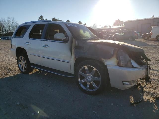 2007 Cadillac Escalade Luxury