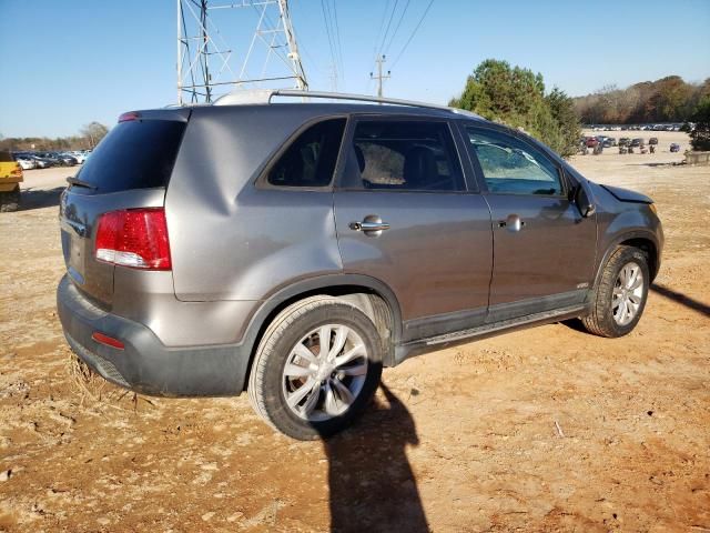 2011 KIA Sorento Base