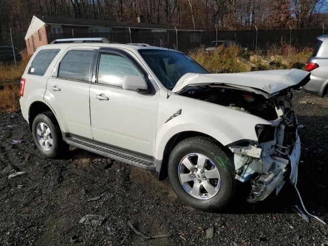 2011 Ford Escape Limited