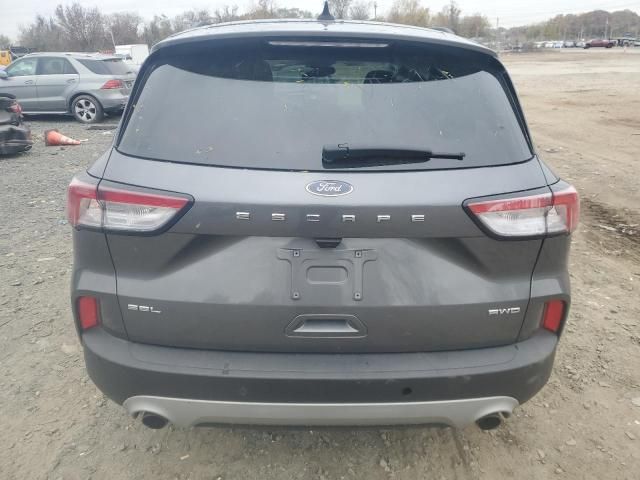 2021 Ford Escape SEL