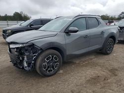 Hyundai Santa Cruz salvage cars for sale: 2024 Hyundai Santa Cruz SEL