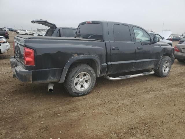 2008 Dodge Dakota SXT