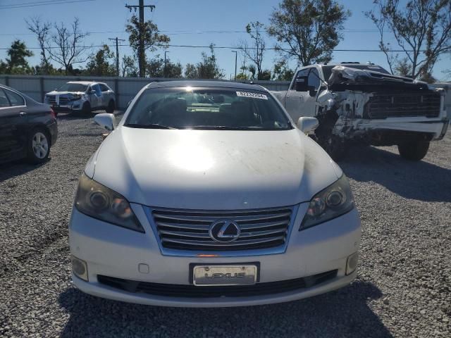 2010 Lexus ES 350