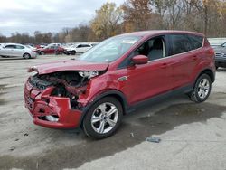 Ford Escape salvage cars for sale: 2014 Ford Escape SE