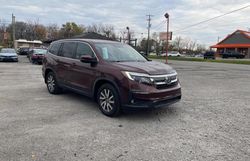 Honda Pilot salvage cars for sale: 2019 Honda Pilot EXL