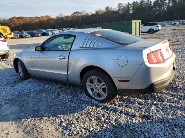 2010 Ford Mustang