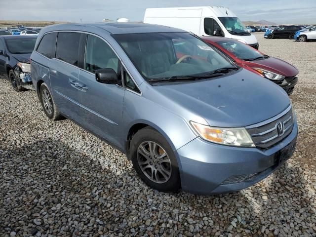 2011 Honda Odyssey EXL