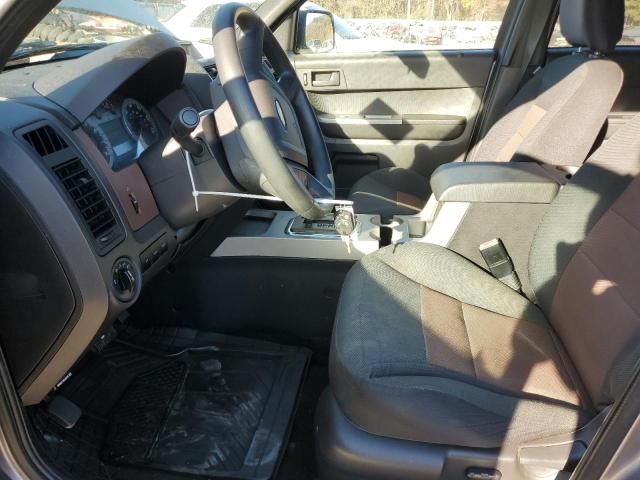 2008 Ford Escape XLT