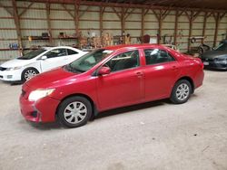 Toyota Corolla salvage cars for sale: 2010 Toyota Corolla Base