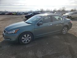 Honda Accord salvage cars for sale: 2009 Honda Accord EXL