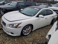 Nissan Maxima salvage cars for sale: 2011 Nissan Maxima S