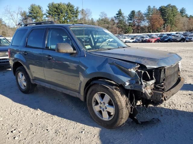 2010 Ford Escape XLT