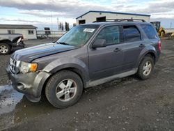 Ford Escape salvage cars for sale: 2010 Ford Escape XLT