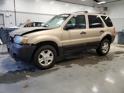 Ford Escape salvage cars for sale: 2007 Ford Escape XLT