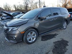 Honda Odyssey exl salvage cars for sale: 2019 Honda Odyssey EXL