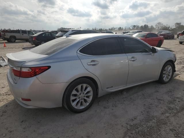 2013 Lexus ES 300H