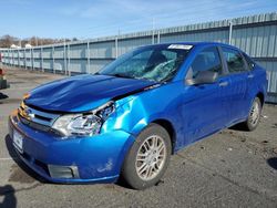 Ford Focus salvage cars for sale: 2011 Ford Focus SE