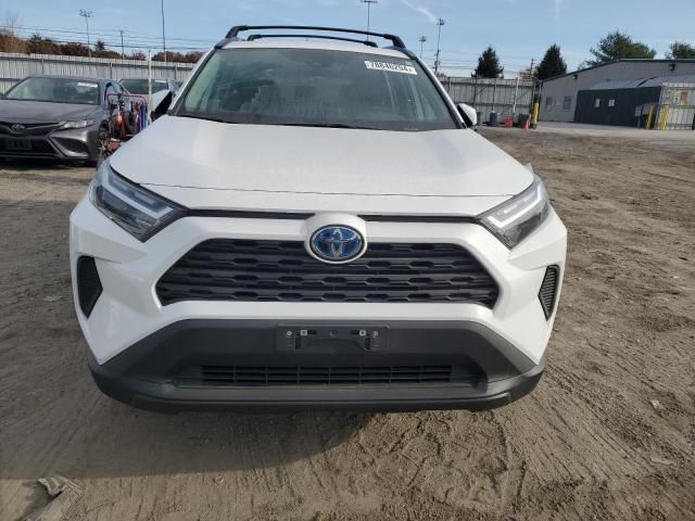 2024 Toyota Rav4 XLE