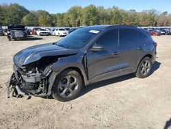 Ford Escape st Vehiculos salvage en venta: 2023 Ford Escape ST Line