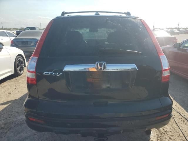 2010 Honda CR-V EXL