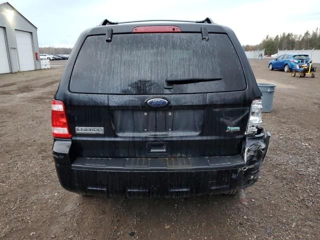 2010 Ford Escape XLT