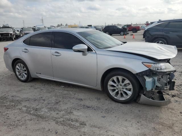 2013 Lexus ES 300H