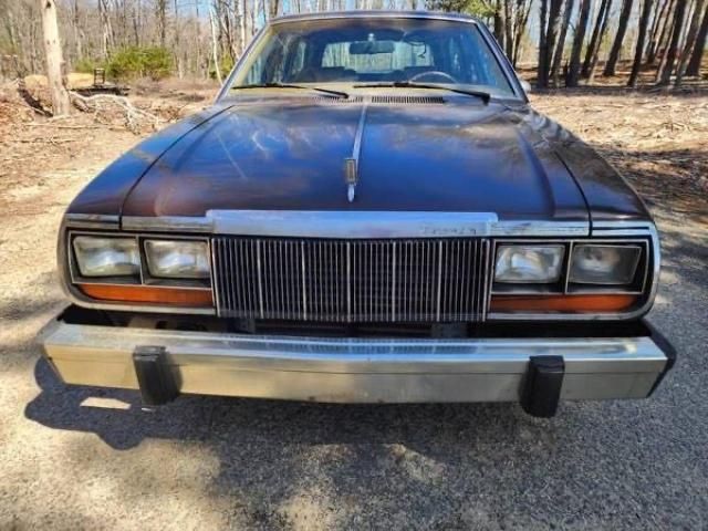 1979 American Motors Concord W