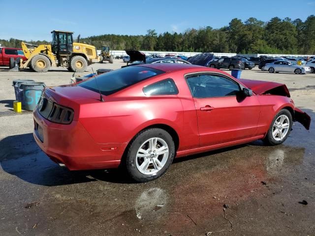 2013 Ford Mustang