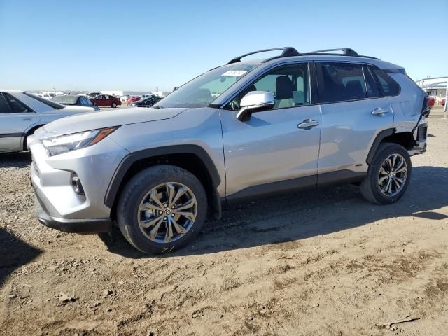 2024 Toyota Rav4 XLE Premium