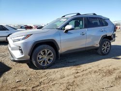 Vehiculos salvage en venta de Copart San Diego, CA: 2024 Toyota Rav4 XLE Premium